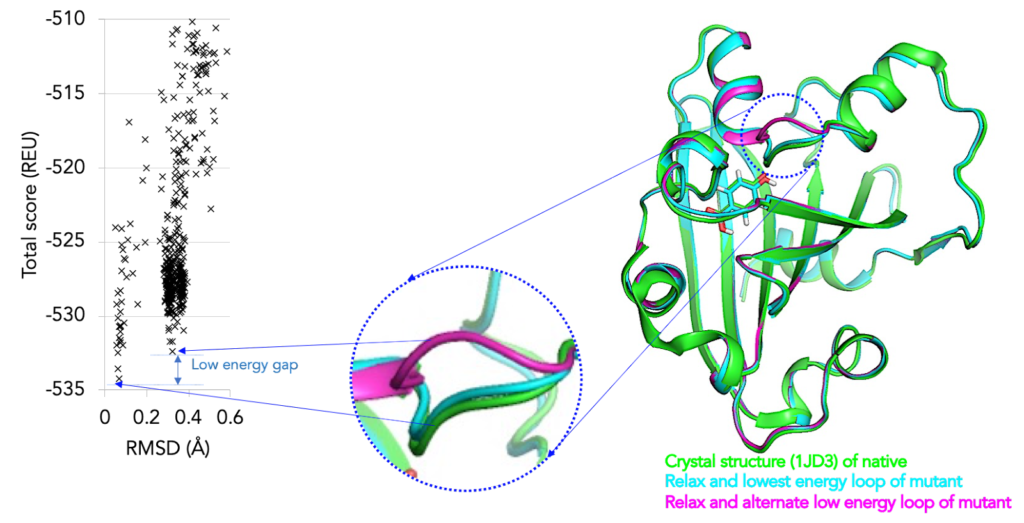 Structure based design of Chorismate lyase for alleviated product inhibition. Rosetta loop modeling predicted alternate loop confirmation that can facilitate exit of product and hence result in lower product inhibition.