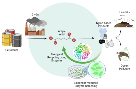 Graphic describing the biosensor technology 