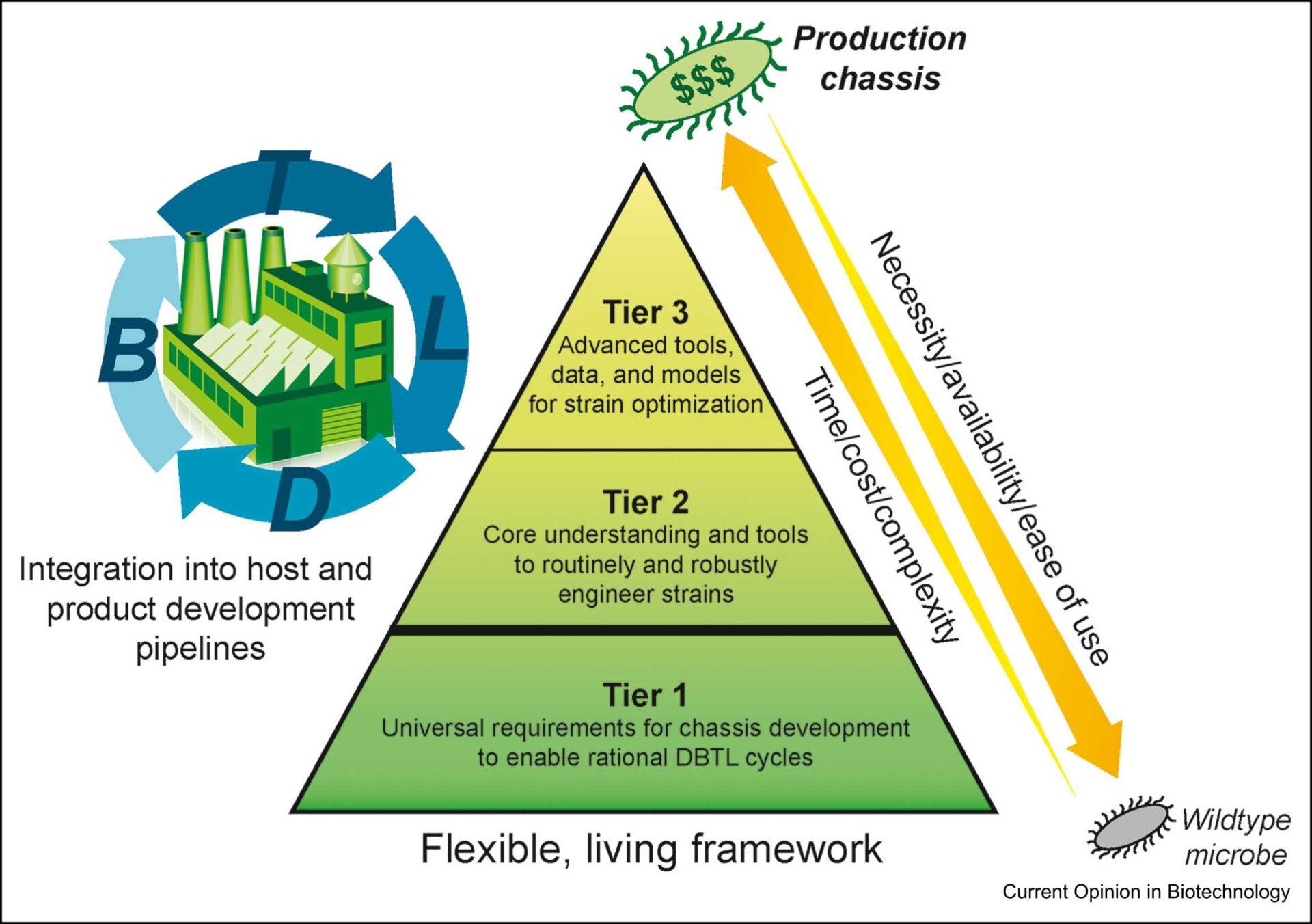 Host Based Model Host Onboarding of Non-Model Microbes - Agile BioFoundry